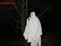 IMG 9662