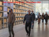 IMG 7813