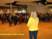IMG 3327-1