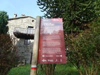 DSC05954