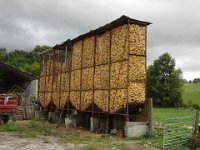 DSC06615
