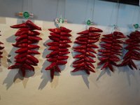 DSC06765